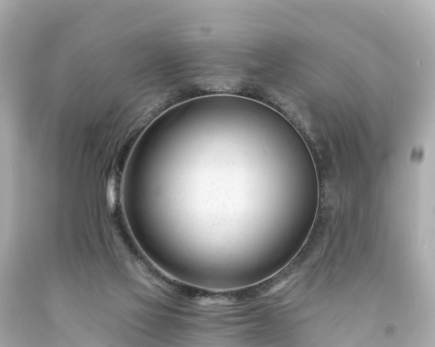 X0000094200069200711021102