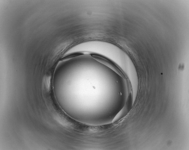 X0000094200070200711021102