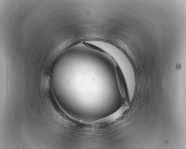 X0000094200071200711021102