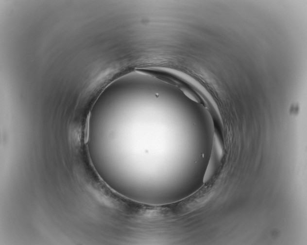 X0000094200072200711021102