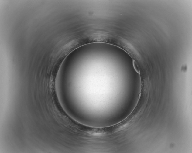 X0000094200073200711021102