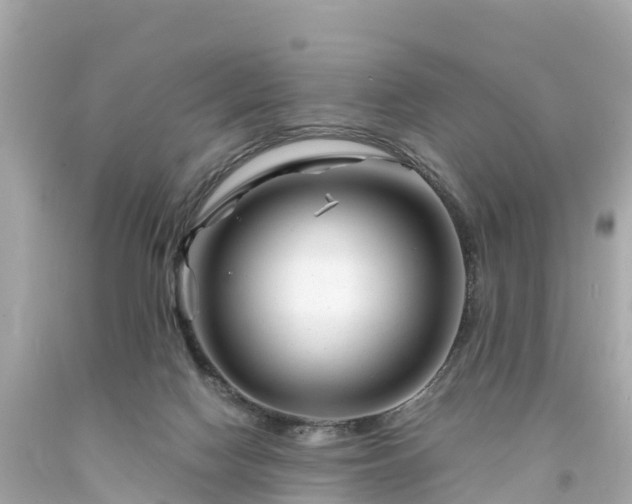 X0000094200074200711021102