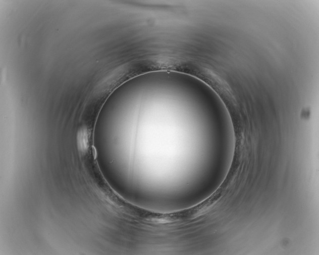 X0000094200075200711021102