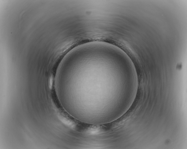 X0000094200076200711021102