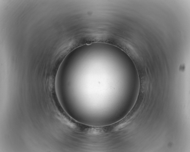 X0000094200077200711021102