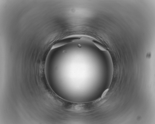 X0000094200078200711021102