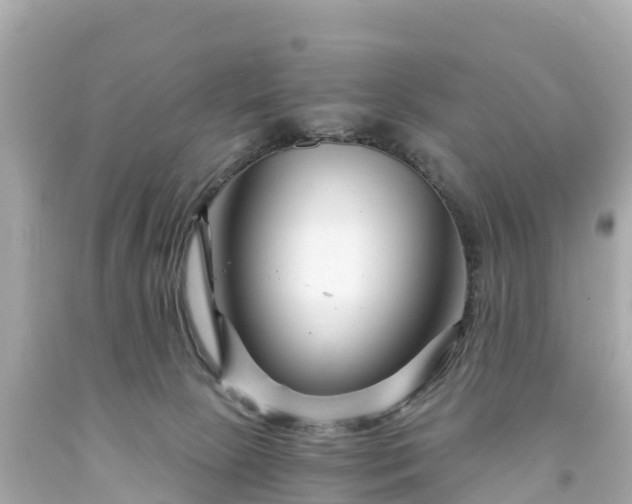 X0000094200081200711021102
