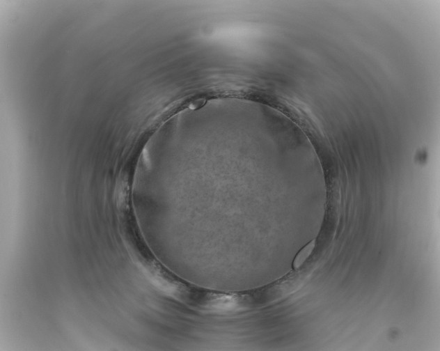 X0000094200083200711021102