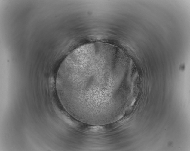 X0000094200087200711021102