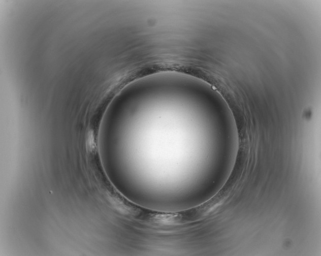 X0000094200089200711021102