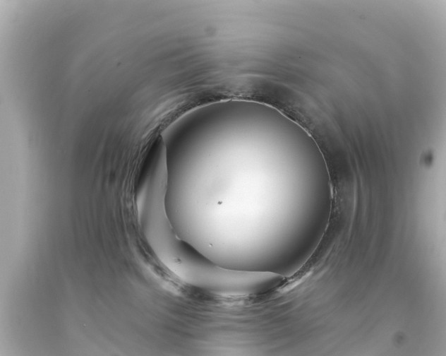 X0000094200092200711021102