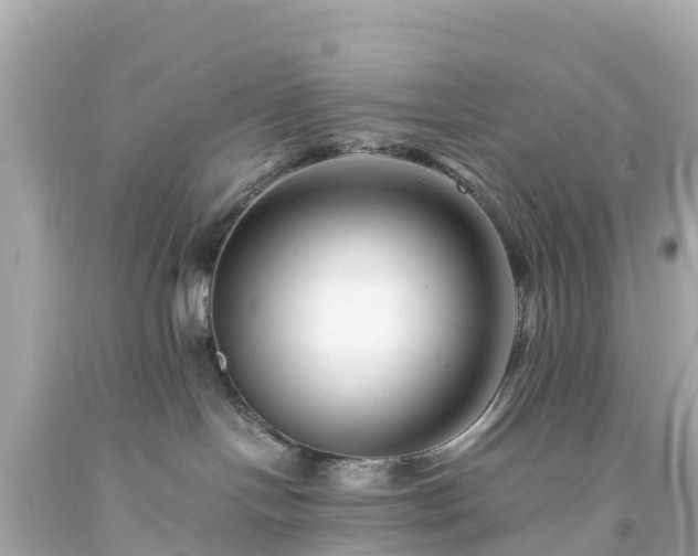 X0000094200094200711021102