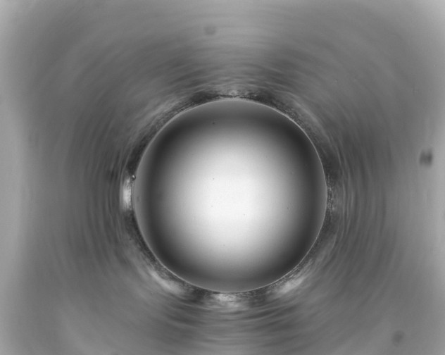 X0000094200095200711021102
