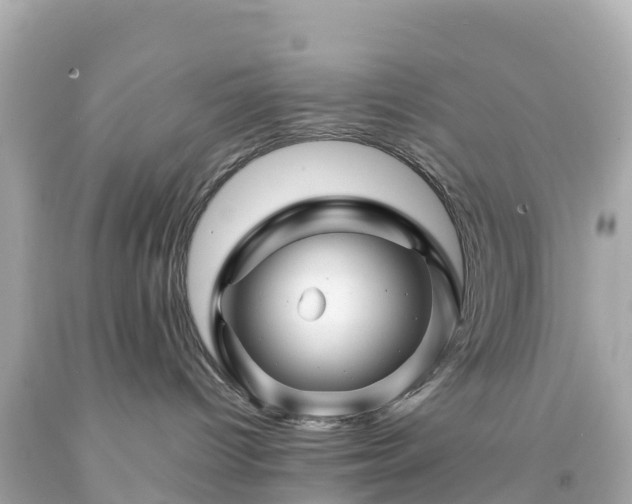 X0000094200096200711021102