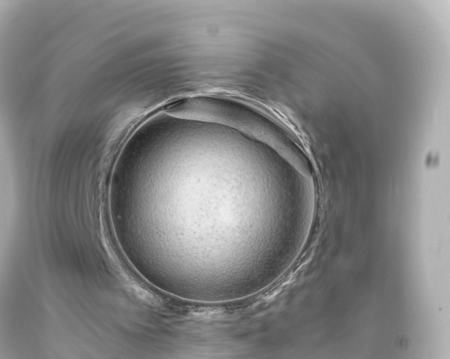 X0000094200097200711021102