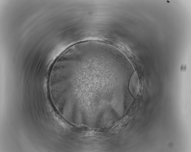 X0000094200098200711021102