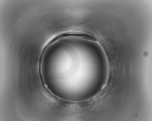 X0000094200100200711021102