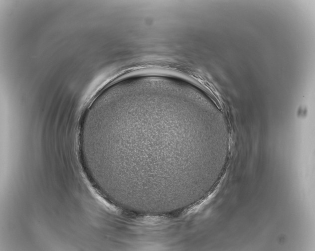 X0000094200101200711021102