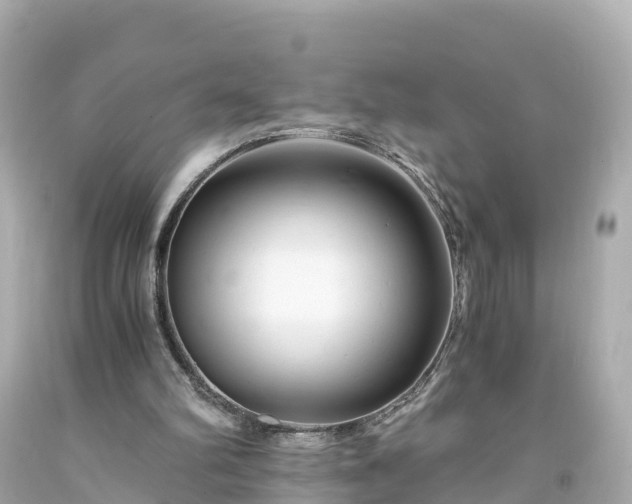 X0000094200102200711021102