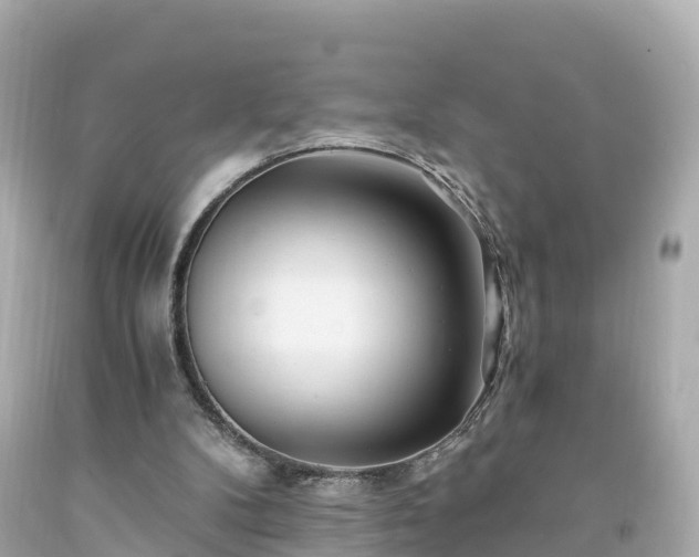 X0000094200104200711021101