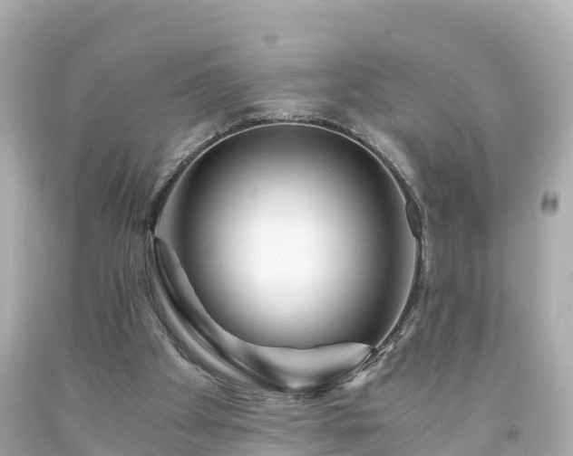 X0000094200105200711021101