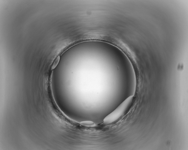 X0000094200107200711021101
