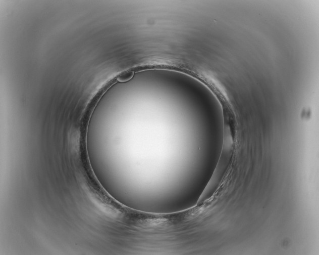 X0000094200108200711021101