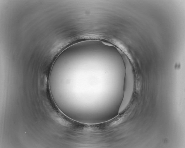 X0000094200109200711021101