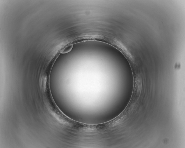 X0000094200110200711021101