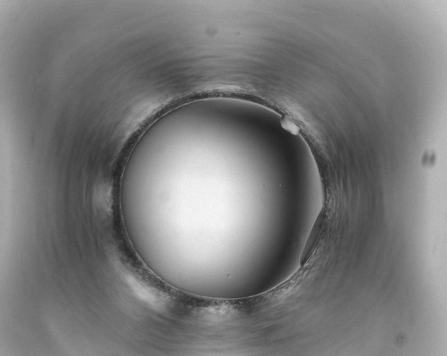X0000094200112200711021101