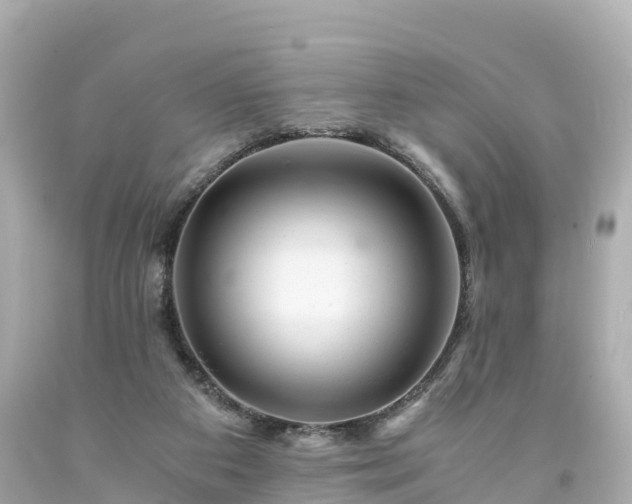 X0000094200113200711021101