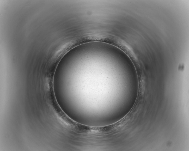 X0000094200114200711021101