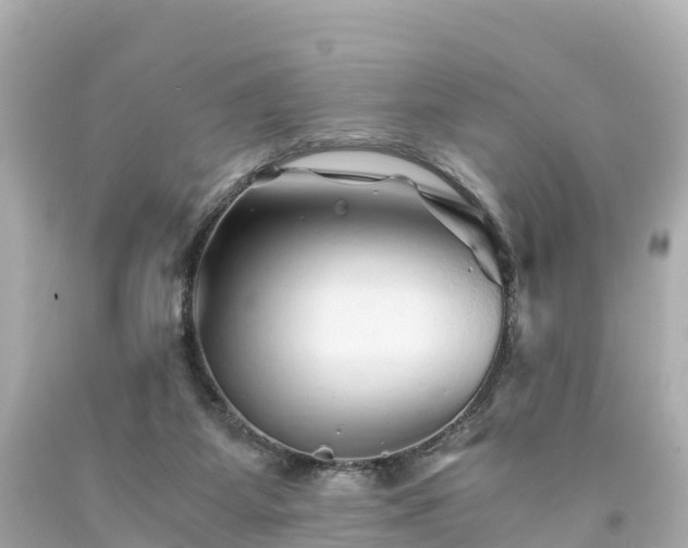 X0000094200115200711021101