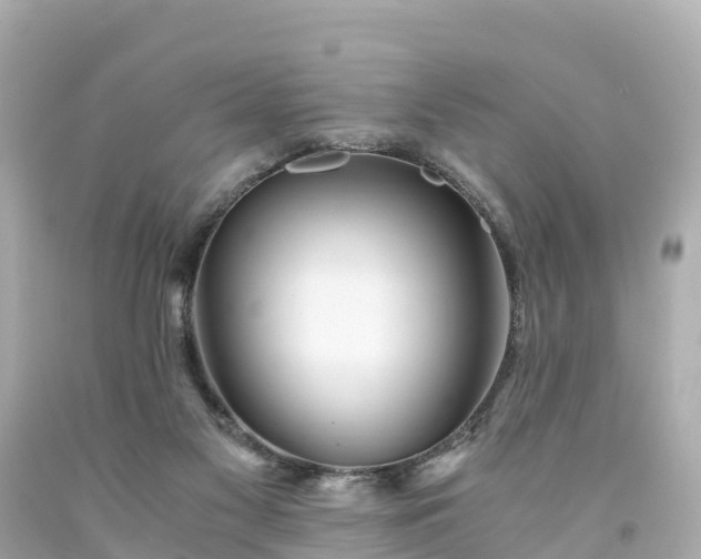X0000094200117200711021101