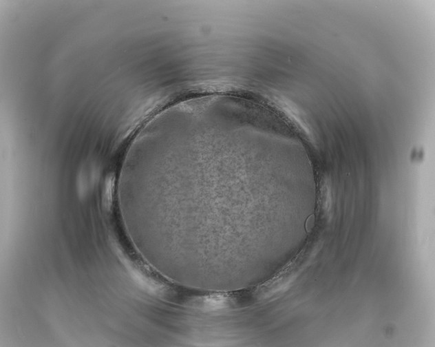X0000094200118200711021101