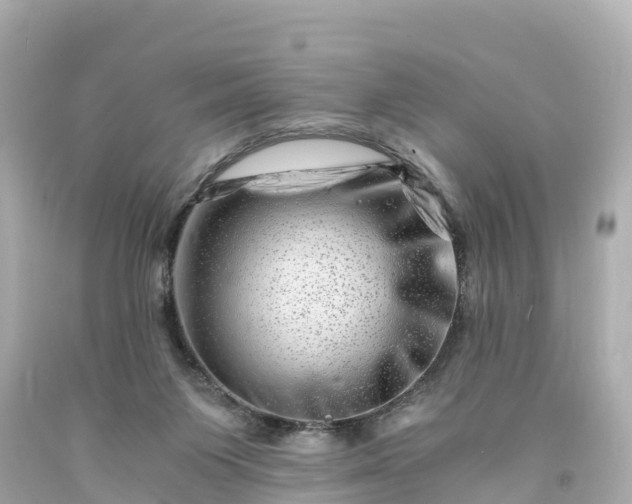 X0000094200119200711021101