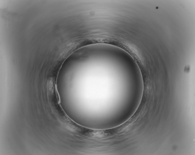 X0000094200121200711021101