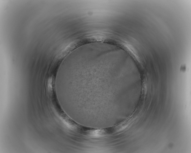 X0000094200122200711021101