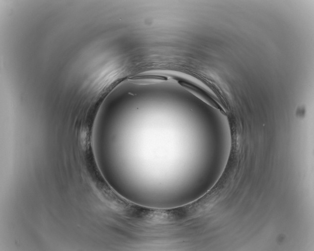 X0000094200123200711021101
