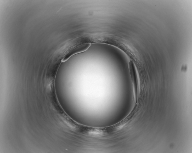 X0000094200125200711021101
