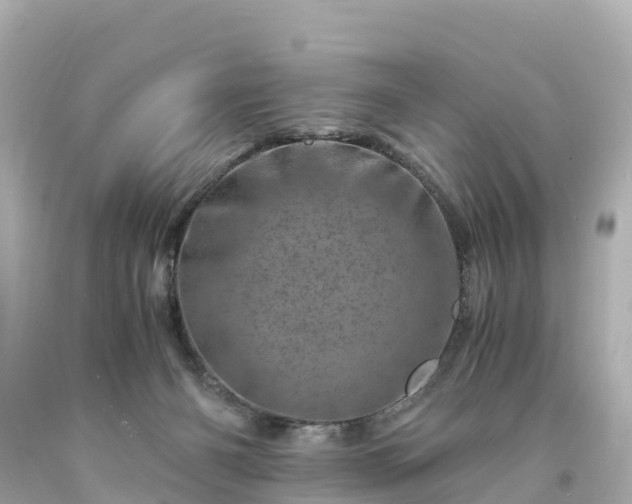 X0000094200126200711021101