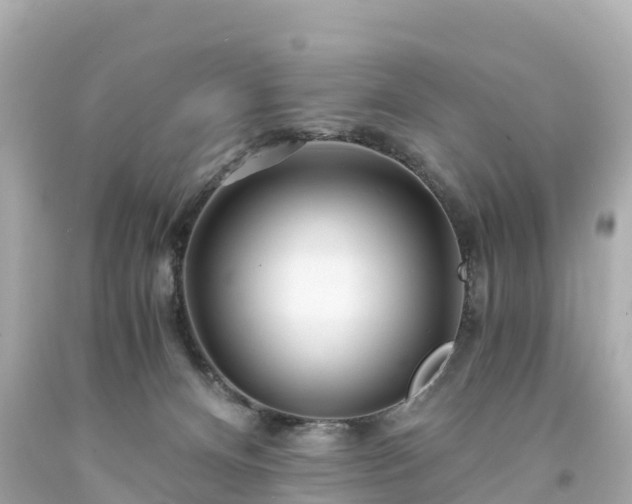 X0000094200128200711021101