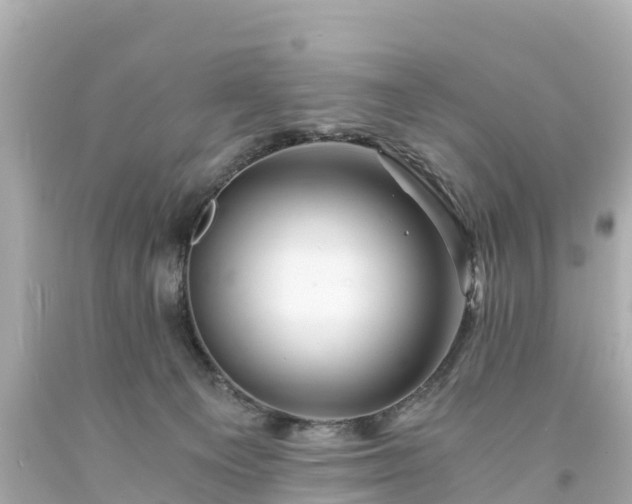 X0000094200129200711021101