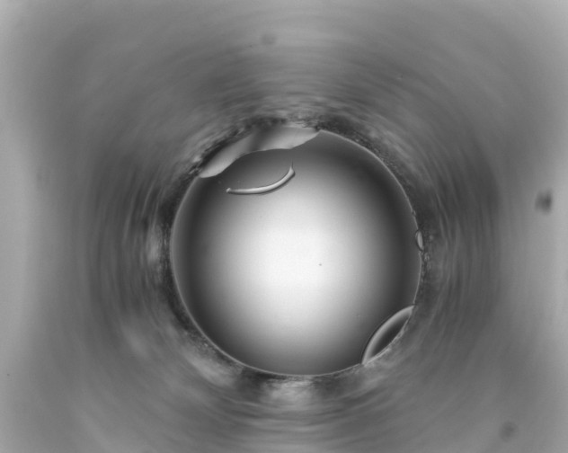 X0000094200132200711021101