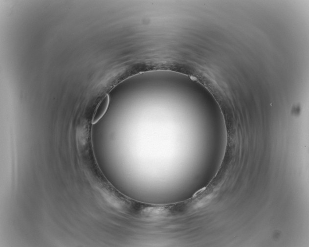 X0000094200133200711021101