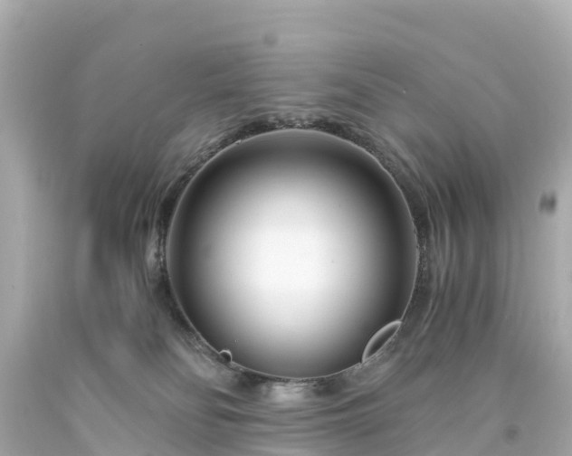 X0000094200134200711021101