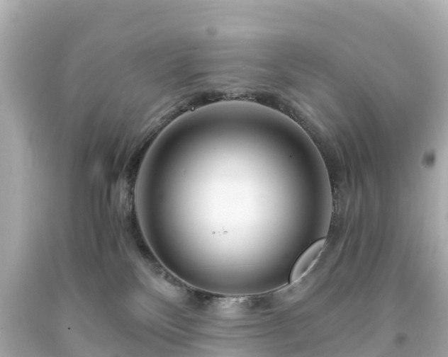 X0000094200136200711021101