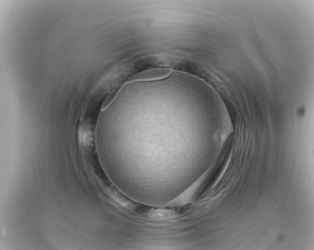 X0000094200137200711021101