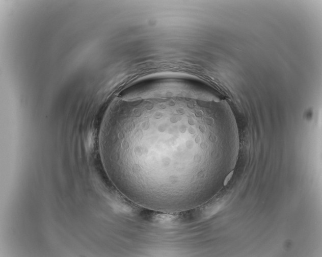 X0000094200139200711021101