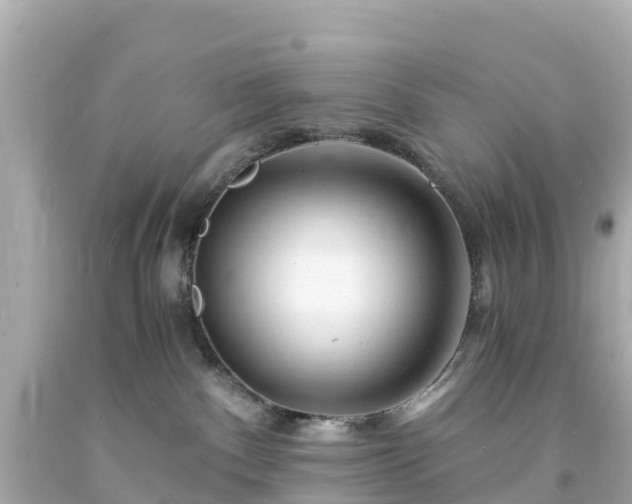 X0000094200140200711021101